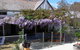 Langford House B&B - thumb 0