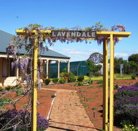 Lavendale Farmstay and Cottages York - Accommodation Sunshine Coast