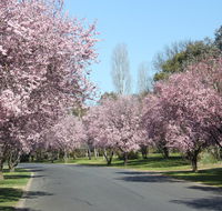 Leo's Rest Bathurst NSW - Accommodation Sunshine Coast