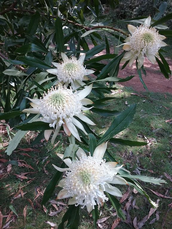 Hallston VIC Accommodation Sunshine Coast