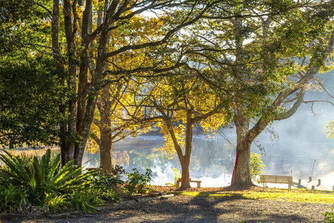 Maleny Lake Cottages-Guesthouse - Accommodation Sunshine Coast 2