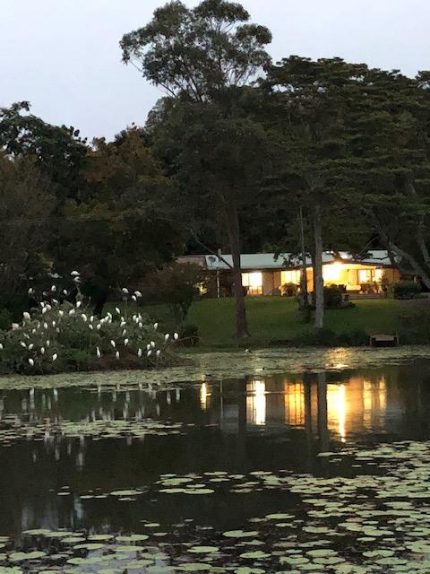 Maleny Lake Cottages-Guesthouse - Accommodation Sunshine Coast 3