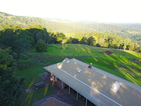 Maleny Orchard - Accommodation Sunshine Coast 3