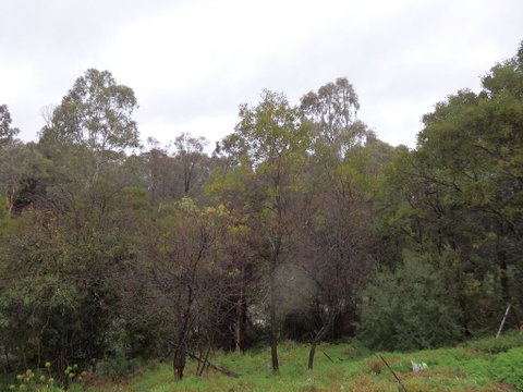 Mandall Avenue - Accommodation Sunshine Coast 2