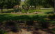 Manderley Park Farmstay B&B - thumb 3