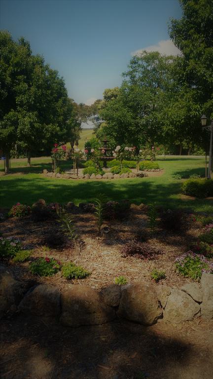 Manderley Park Farmstay B&B - Accommodation Sunshine Coast 3