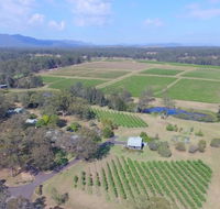 McCaffrey's Estate - Accommodation Sunshine Coast