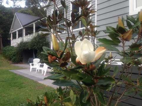 McCrae Lodge - Accommodation Sunshine Coast 1