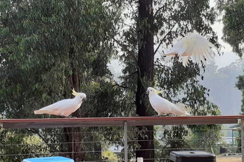 Merry Mary Casa - Accommodation Sunshine Coast 3