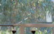 Moama On Murray Resort - thumb 3