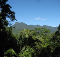 Mossman Gorge Bed and Breakfast - Accommodation Sunshine Coast