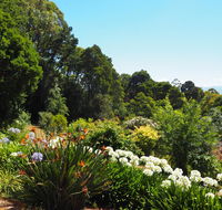 Murrindindi - Accommodation Sunshine Coast