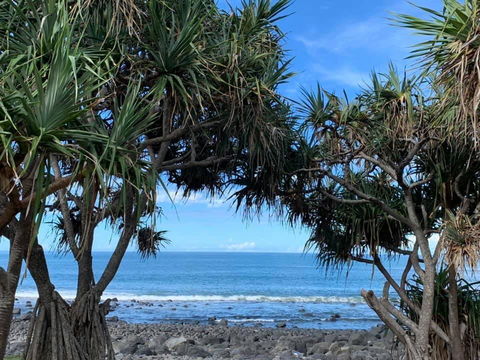Nautilus Beachside Apartments - Accommodation Sunshine Coast 3