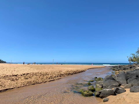 Nautilus Beachside Apartments - Accommodation Sunshine Coast 1