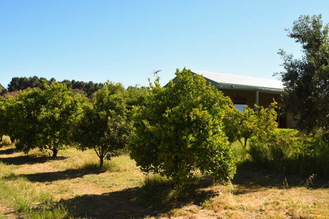 Swan Valley Sisters - Accommodation Sunshine Coast 30