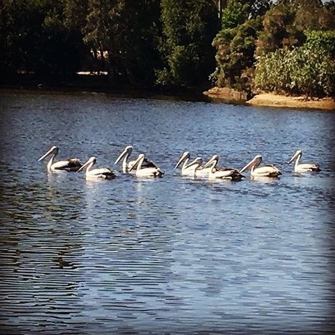 Swan Valley Sisters - Accommodation Sunshine Coast 31