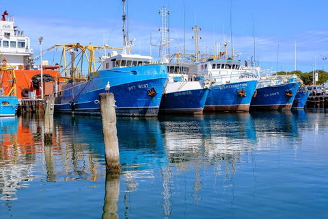 Gallery Serviced Apartments - Accommodation Sunshine Coast 27