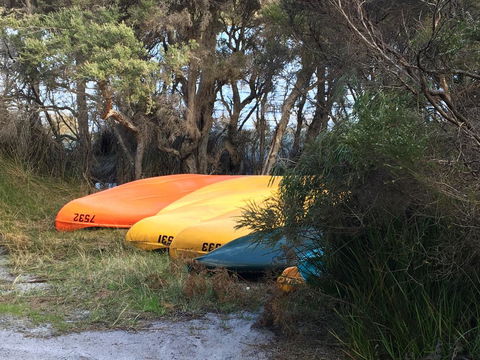 Riverside Retreat Chalets, Walpole - Accommodation Sunshine Coast 20
