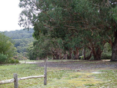 Riverside Retreat Chalets, Walpole - Accommodation Sunshine Coast 17