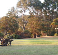 Riverside Retreat Chalets Walpole - Accommodation Sunshine Coast