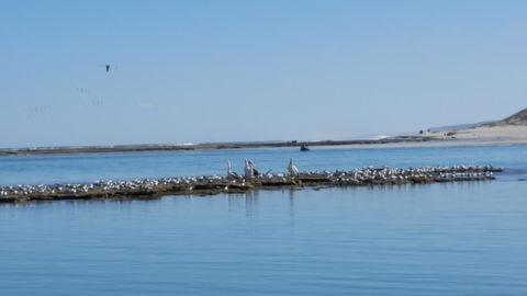 Kalbarri Seaview Villas - Accommodation Sunshine Coast 33