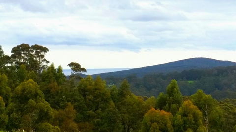 Karri Aura - Accommodation Sunshine Coast 10