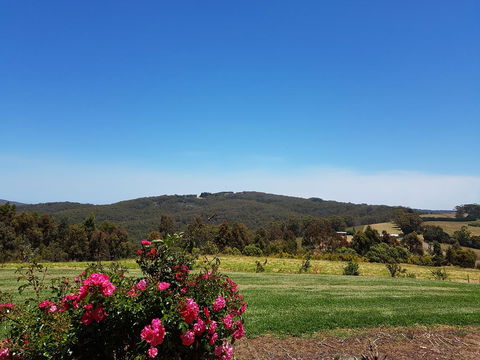 Karri Aura - Accommodation Sunshine Coast 9