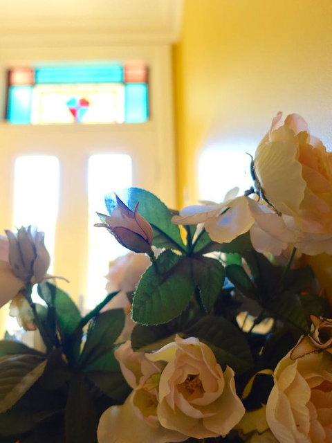 The Blacksmiths Cottage - Accommodation Sunshine Coast 16