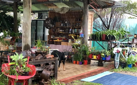 Kellers Bed And Breakfast - Accommodation Sunshine Coast 20