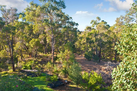 A Hidden Bush Delight - Accommodation Sunshine Coast 30