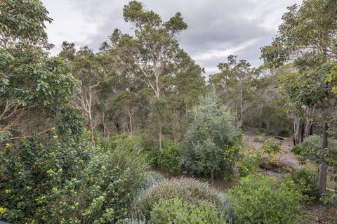 A Hidden Bush Delight - Accommodation Sunshine Coast 7