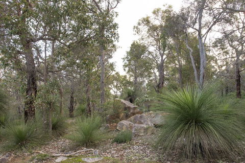 A Hidden Bush Delight - Accommodation Sunshine Coast 23