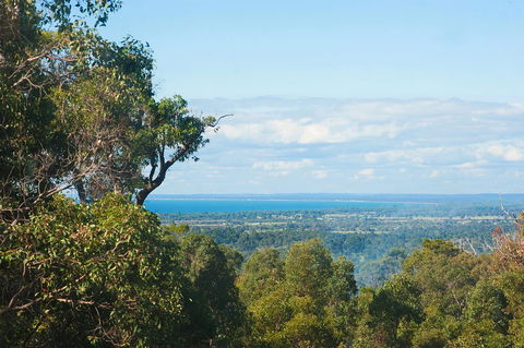 A Hidden Bush Delight - Accommodation Sunshine Coast 31