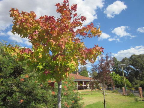 Bridgetown Valley Lodge - Accommodation Sunshine Coast 40