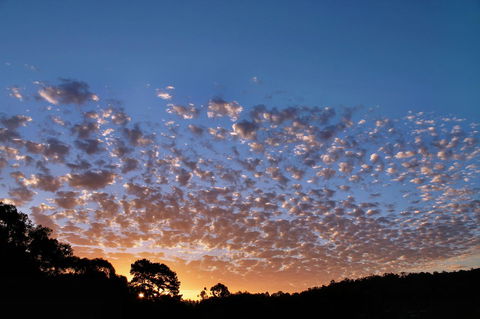 Bridgetown Valley Lodge - Accommodation Sunshine Coast 6