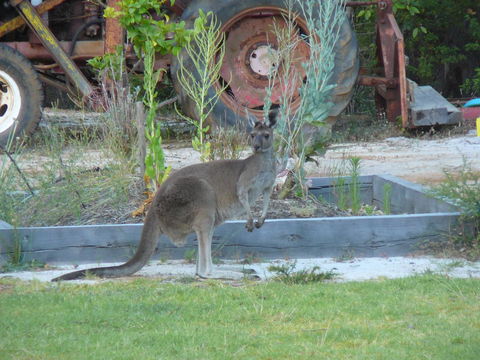 Nannup Bush Retreat - Accommodation Sunshine Coast 38