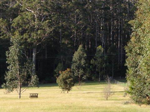 Big Brook Retreat - Accommodation Sunshine Coast 5