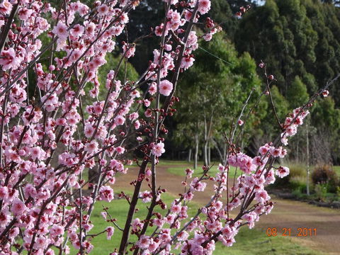 Big Brook Retreat - Accommodation Sunshine Coast 9
