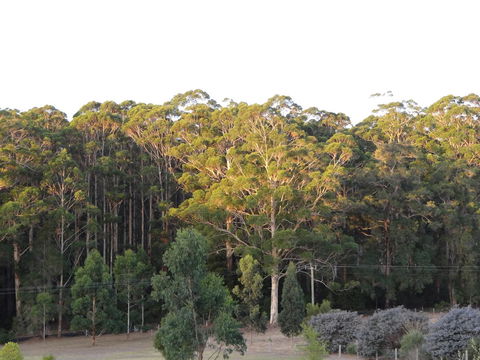 Big Brook Retreat - Accommodation Sunshine Coast 11