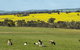 Kendenup Cottages And Lodge - thumb 44