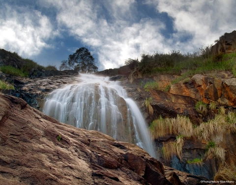 Banksia Tourist Park - Accommodation Sunshine Coast 17