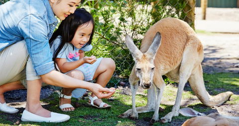 Banksia Tourist Park - Accommodation Sunshine Coast 29