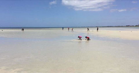Beach House Dunsborough - Accommodation Sunshine Coast 22