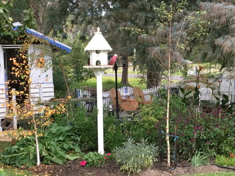 Applegate Lane Chalet - Accommodation Sunshine Coast 24
