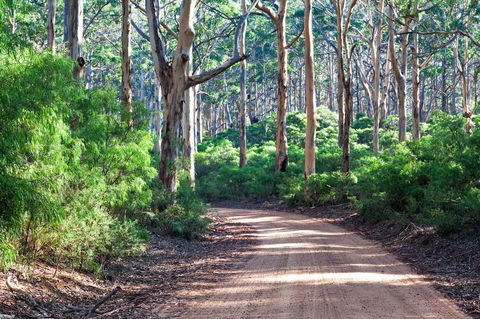 Margaret River Retreat - Accommodation Sunshine Coast 20
