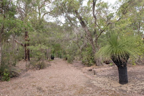 53 Martina Drive - Accommodation Sunshine Coast 30
