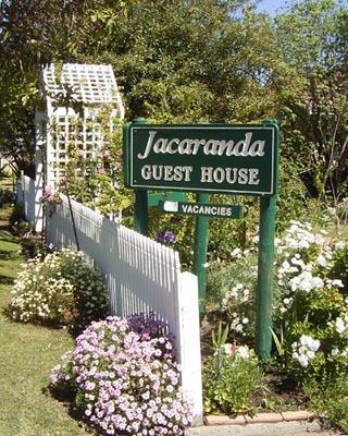 Jacaranda Guest House - Accommodation Sunshine Coast 43