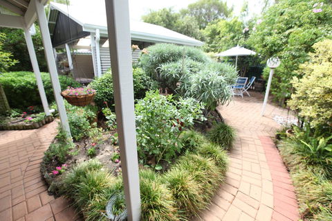 Jacaranda Guest House - Accommodation Sunshine Coast 25