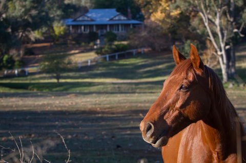 Historic Oakhill House Entire Estate - Accommodation Sunshine Coast 9