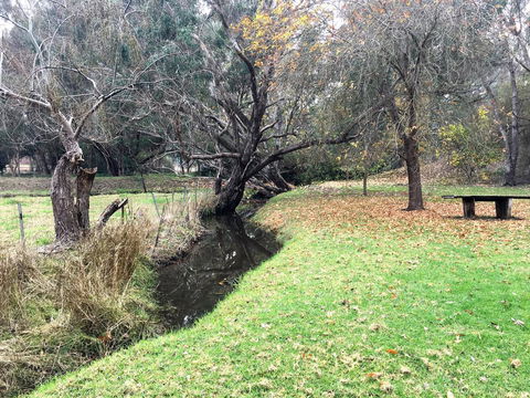 Historic Oakhill House Entire Estate - Accommodation Sunshine Coast 18